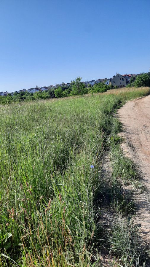 Działka rolno-budowlana Kielce Wietrznia, ul. Daleszycka. Zdjęcie 3