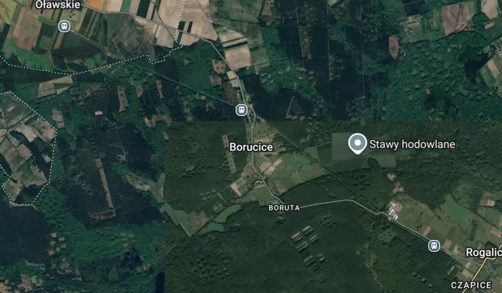 Działka budowlana Borucice
