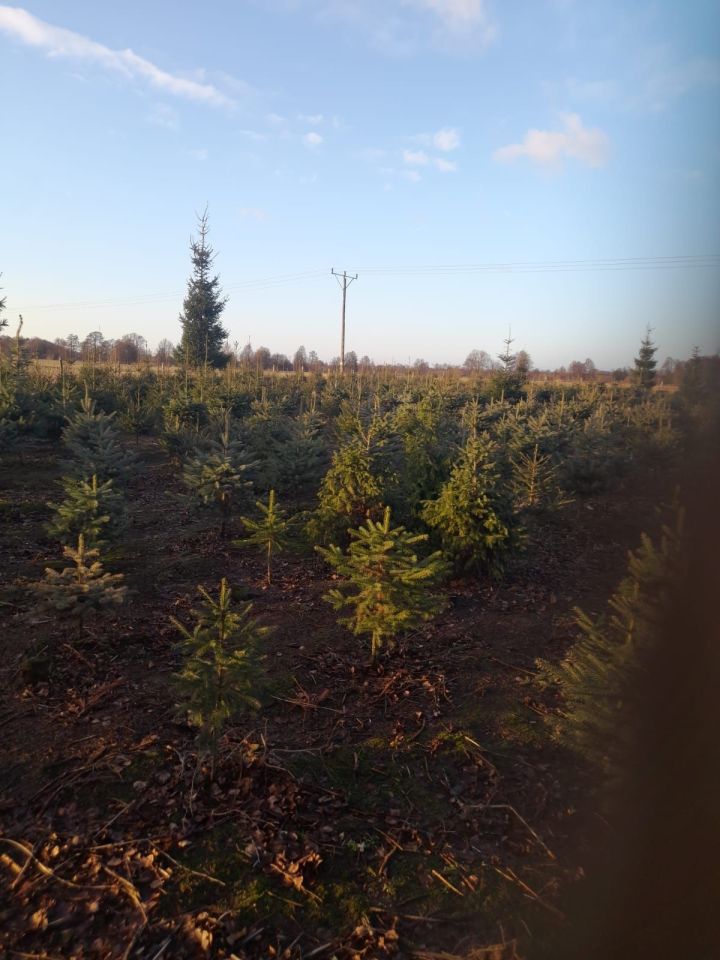 Działka rolna Kalisz, ul. Pokrzywnicka. Zdjęcie 2