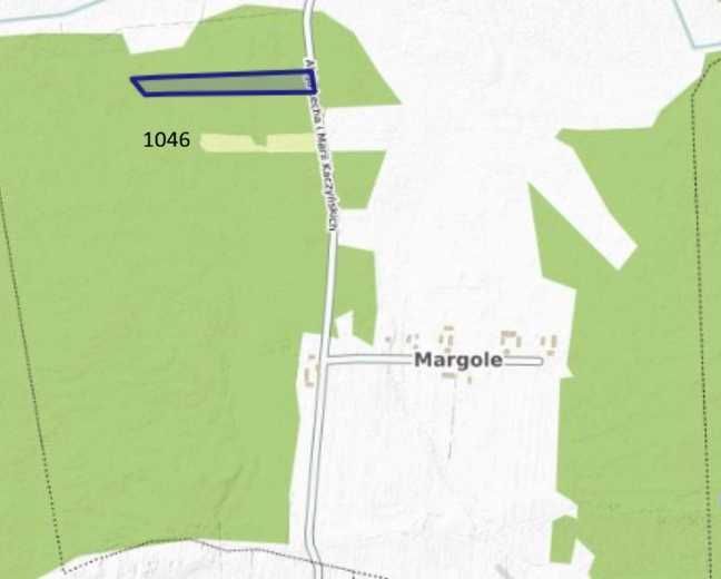 Działka leśna Margole. Zdjęcie 3