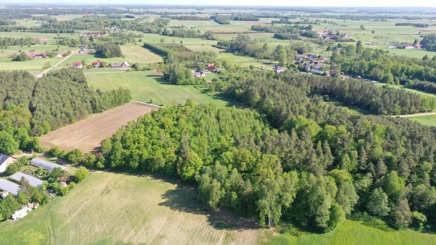Działka leśna Stary Cydzyn. Zdjęcie 3