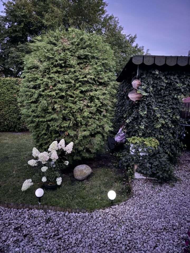 Działka rod Otwock. Zdjęcie 6