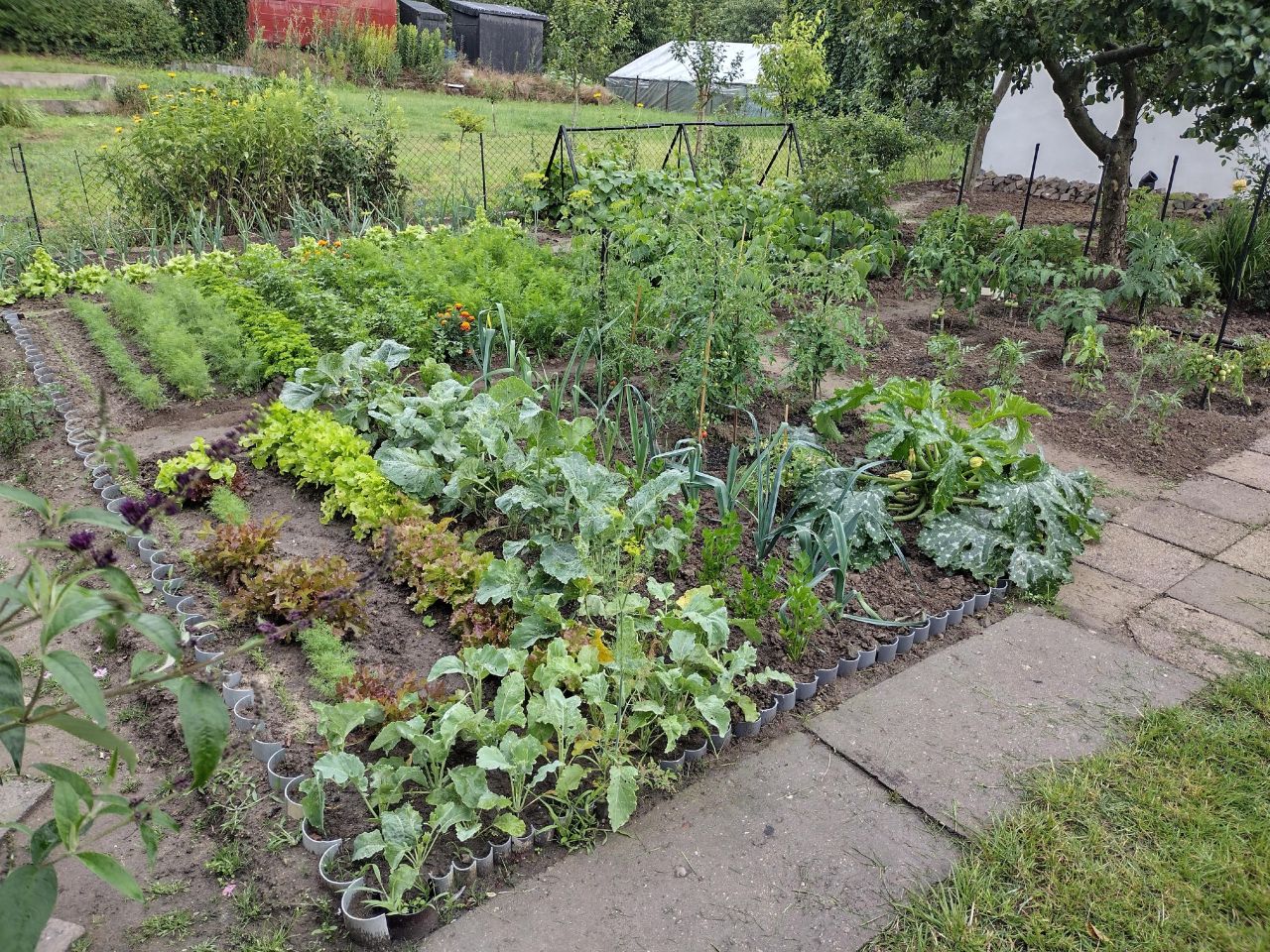 Działka rod Aleksandrów Kujawski Centrum, ul. Gabriela Narutowicza. Zdjęcie 10