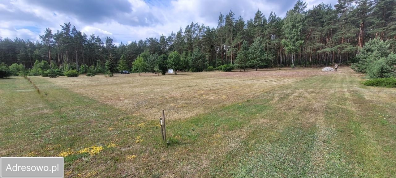 Działka budowlana Dolna Grupa. Zdjęcie 6