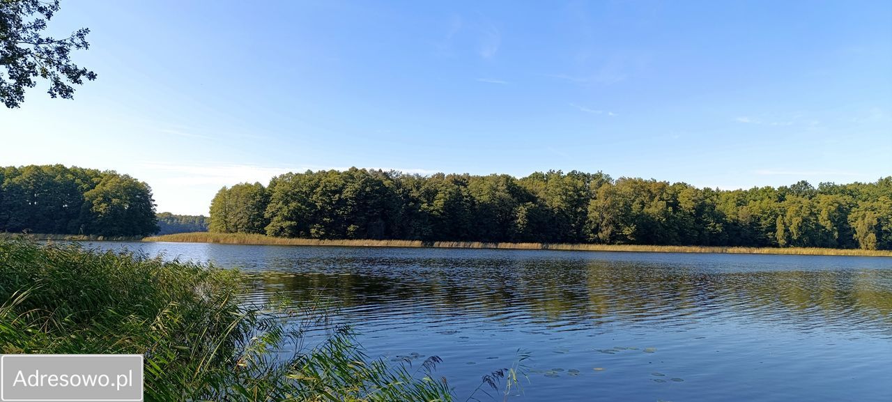 Działka budowlana Zalewo. Zdjęcie 10