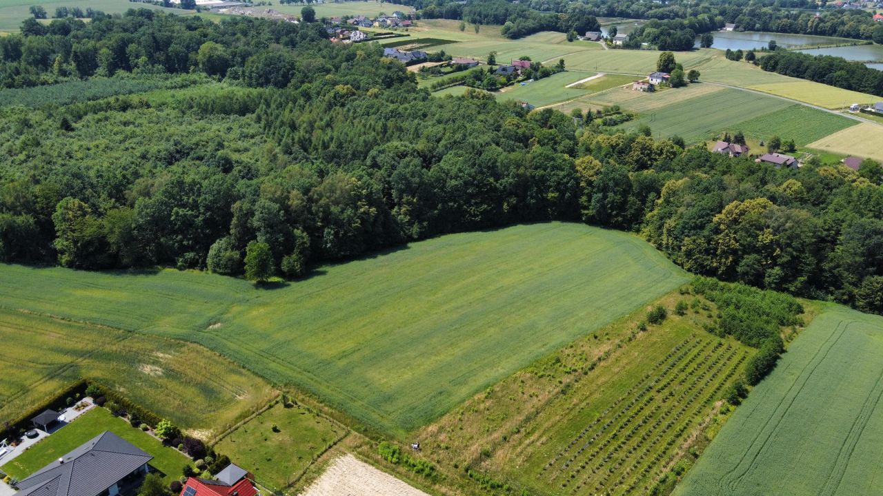 Działka inwestycyjna Hecznarowice, ul. Leśna. Zdjęcie 3