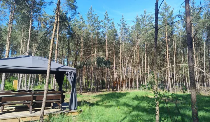 Działka rekreacyjna Adamowo