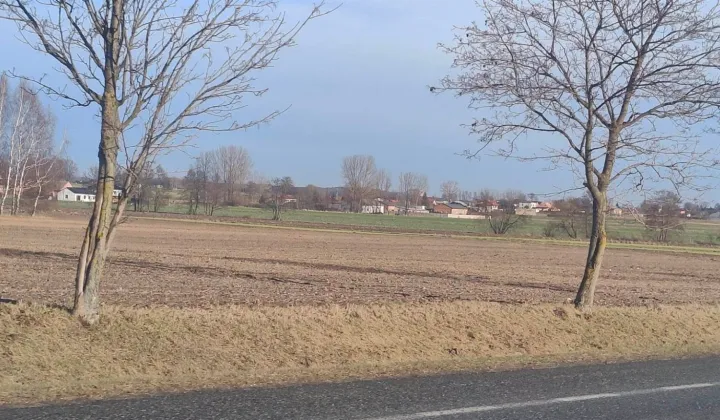 Działka inwestycyjna Piotrków Trybunalski