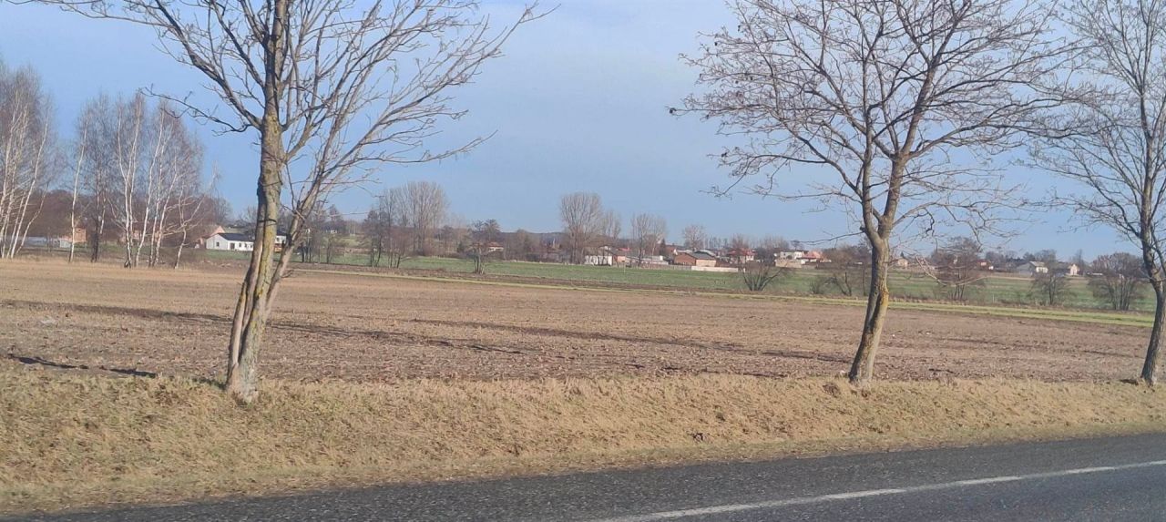 Działka inwestycyjna Piotrków Trybunalski. Zdjęcie 1