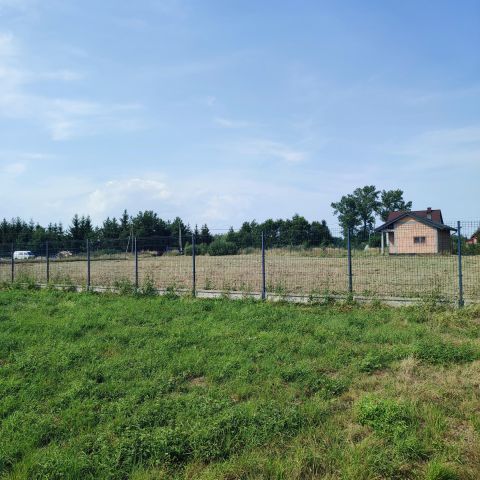 Działka rolna Wola Batorska Pagórki. Zdjęcie 3