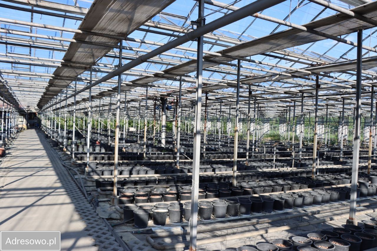 Działka rekreacyjna Antoniówka Świerżowska. Zdjęcie 12