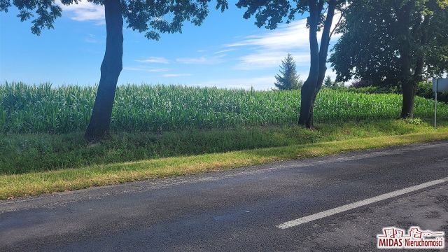 Działka budowlana Dobrzyń nad Wisłą. Zdjęcie 3