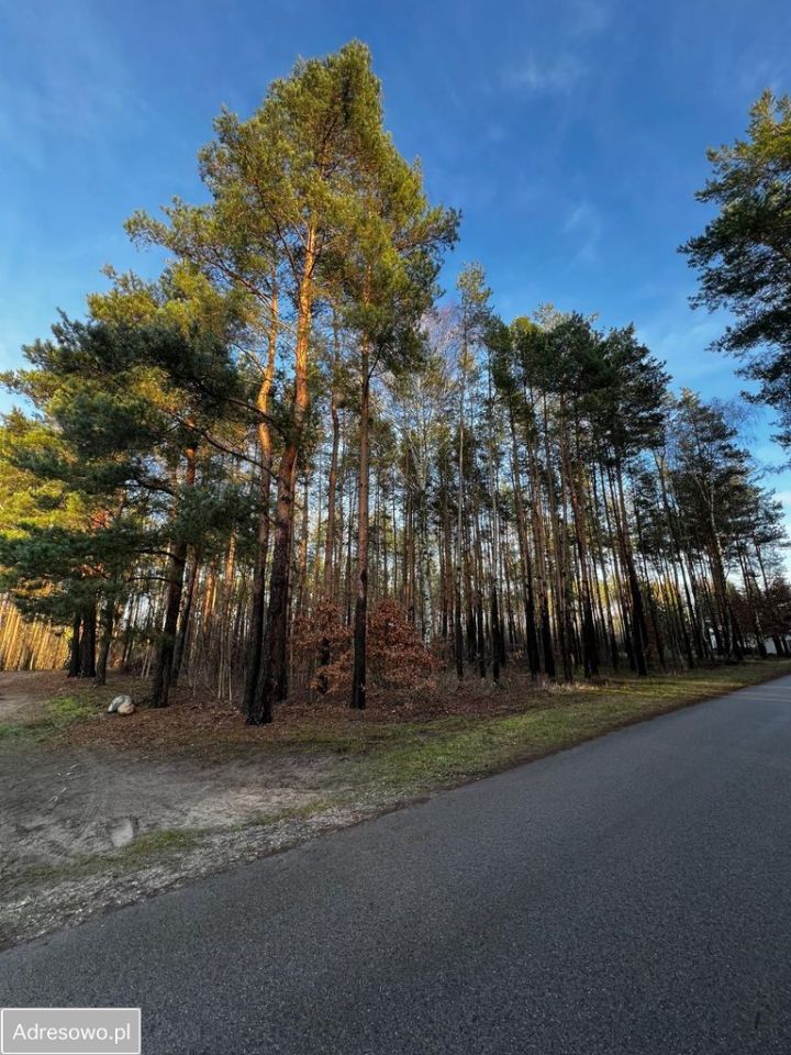 Działka rolno-budowlana Gawłów. Zdjęcie 4