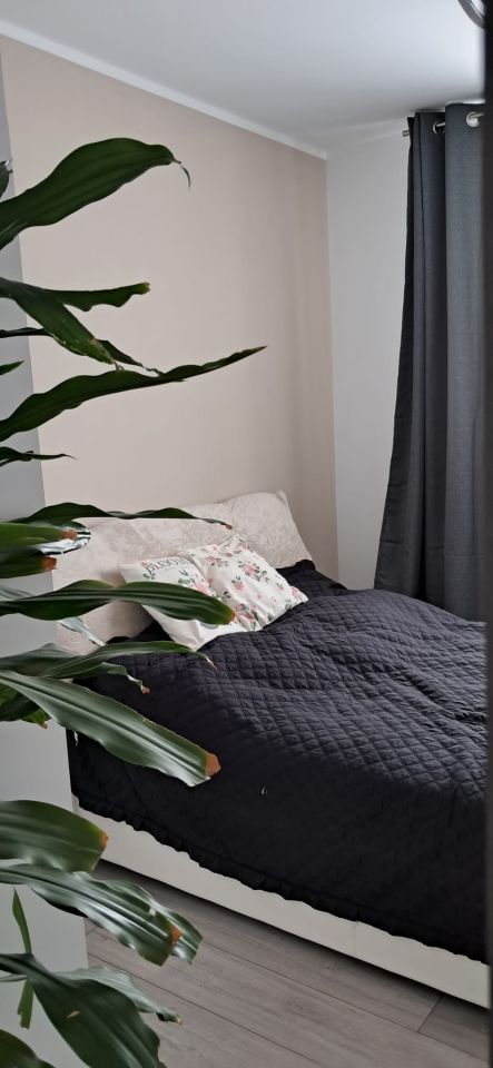 Mieszkanie 3-pokojowe Mogilno. Zdjęcie 34