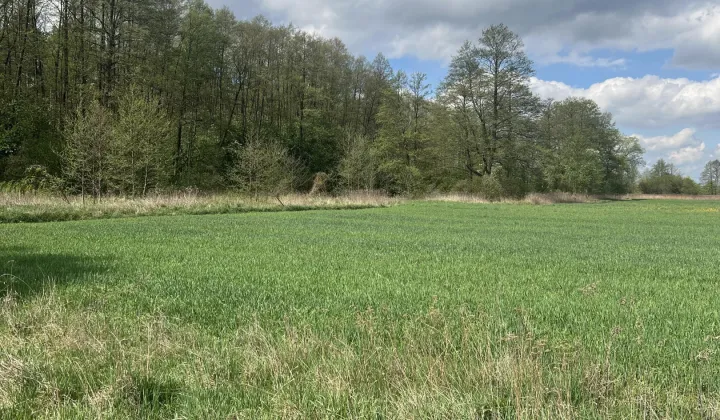 Działka rolno-budowlana Krubki-Górki, Droga pożarowa 64