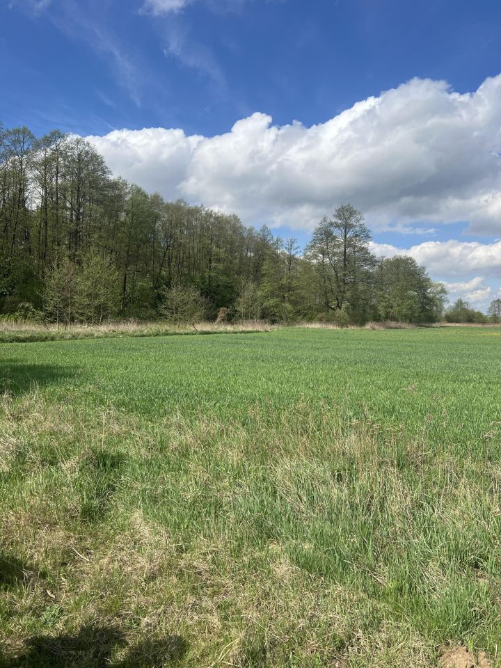 Działka rolno-budowlana Krubki-Górki, Droga pożarowa 64. Zdjęcie 1