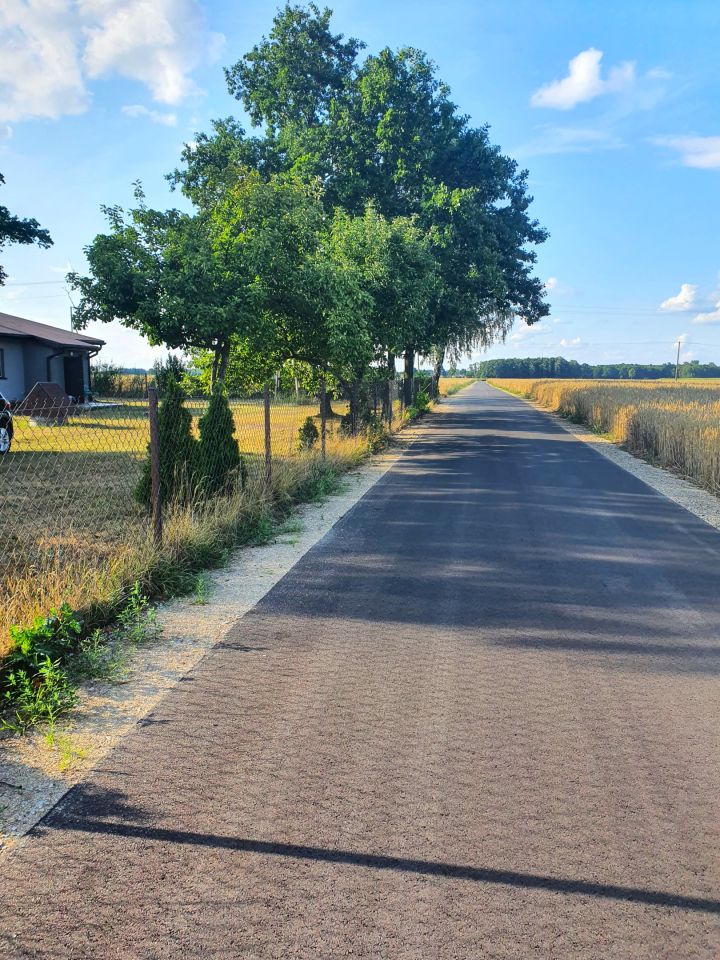 Działka siedliskowa Babiec-Wrzosy. Zdjęcie 4