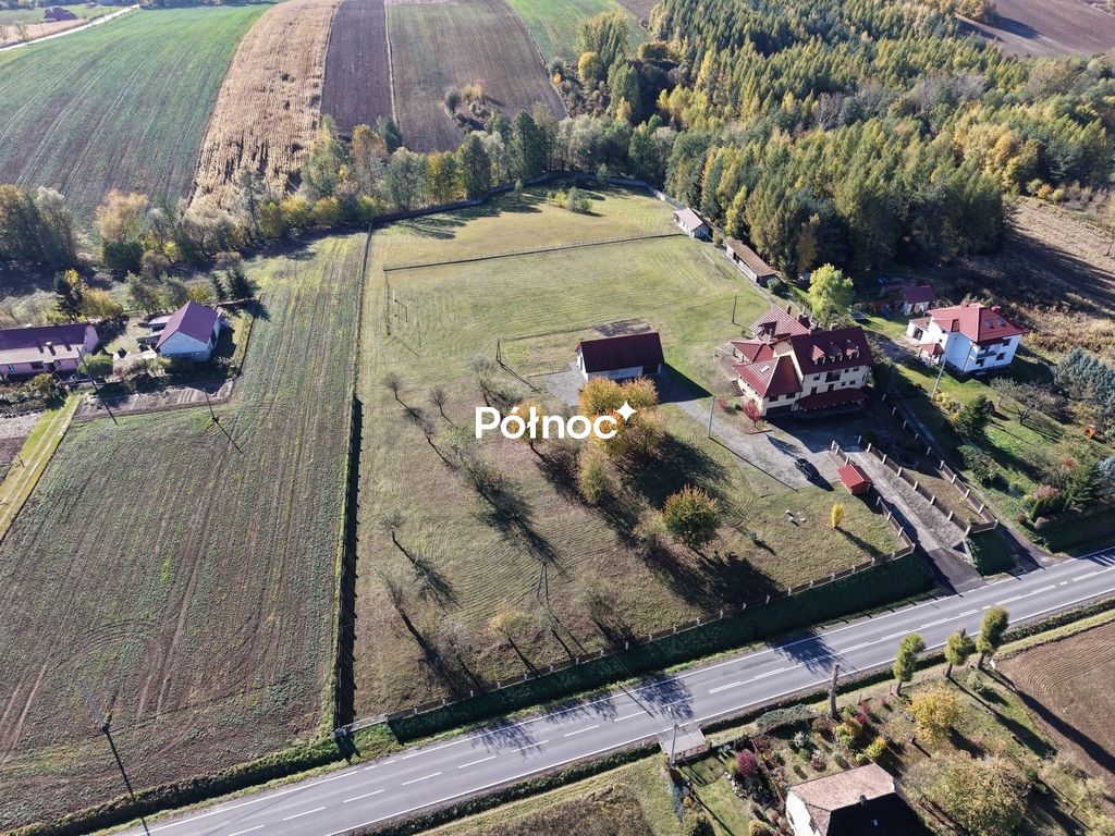 dom wolnostojący, 10 pokoi Sułkowice. Zdjęcie 23