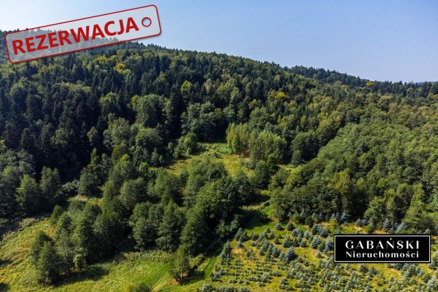 Działka budowlana Słona. Zdjęcie 8