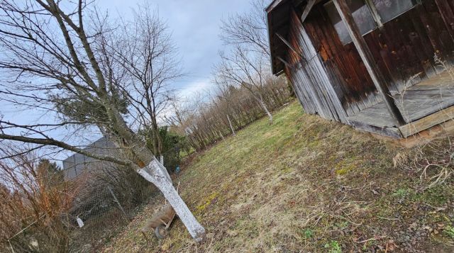 Działka rod Przemyśl Wilcze, ul. Przemysława. Zdjęcie 1