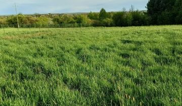 Działka budowlana Myszków, ul. Ziemniaczana