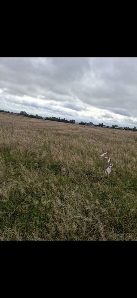 Działka budowlana Grabówko. Zdjęcie 2
