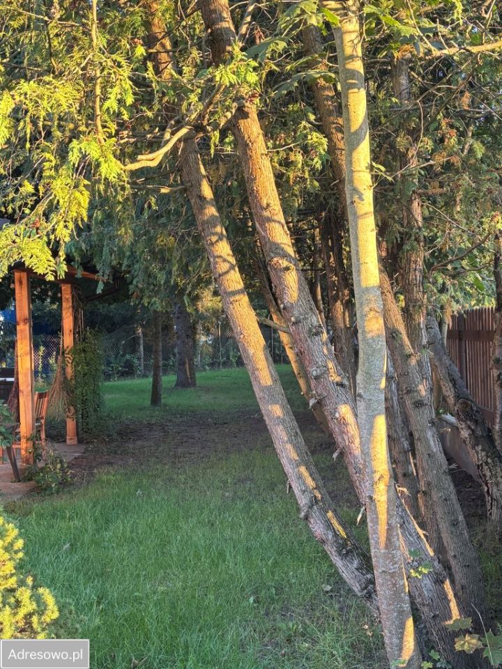 dom wolnostojący, 3 pokoje Kamieńczyk. Zdjęcie 16