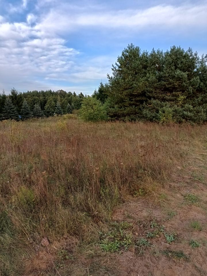 Działka rolno-budowlana Ciasne, ul. Polna. Zdjęcie 2