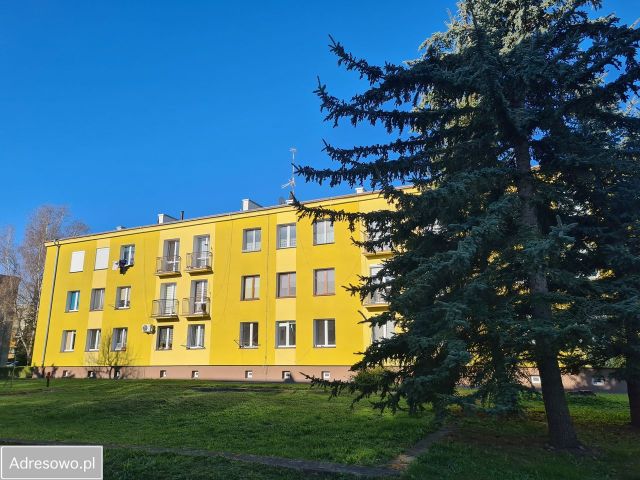 Mieszkanie 2-pokojowe Brzeg Dolny, ul. Młodzieżowa. Zdjęcie 1