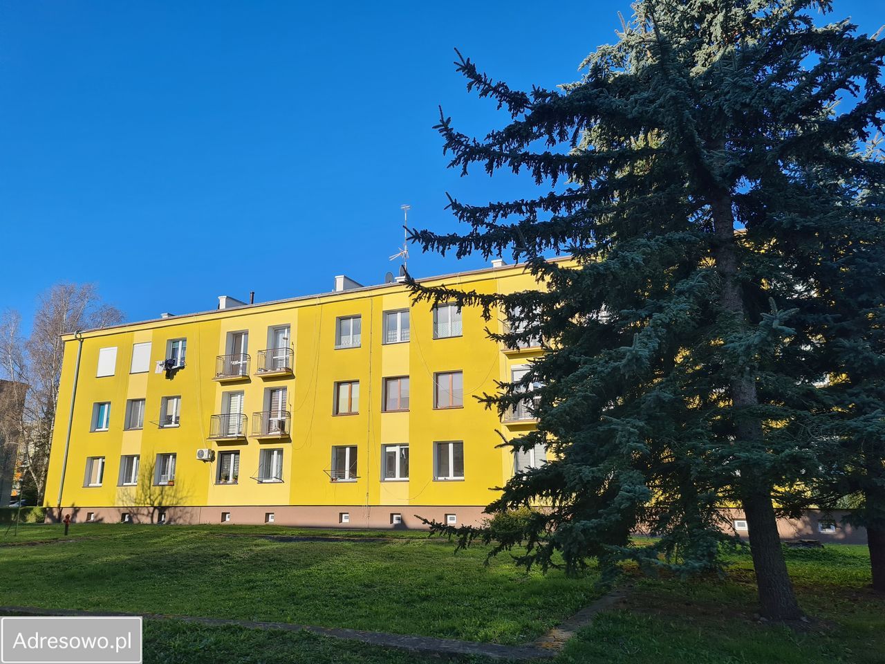 Mieszkanie 2-pokojowe Brzeg Dolny, ul. Młodzieżowa. Zdjęcie 1