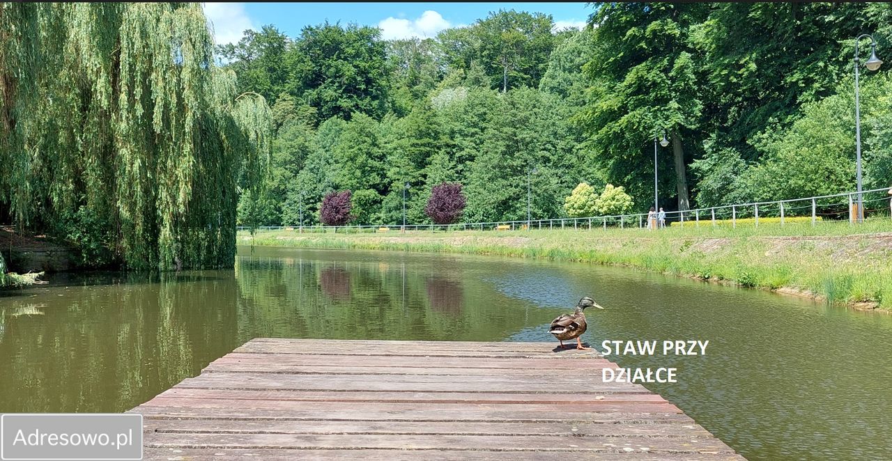 Działka inwestycyjna Trzebnica, ul. Leśna. Zdjęcie 3