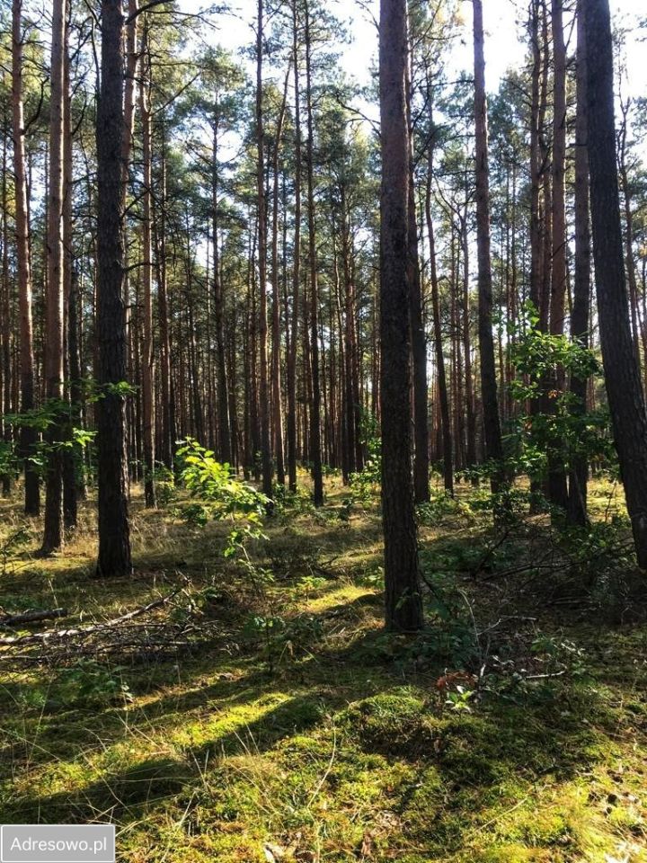 dom wolnostojący, 5 pokoi Osiedle Poznańskie. Zdjęcie 12