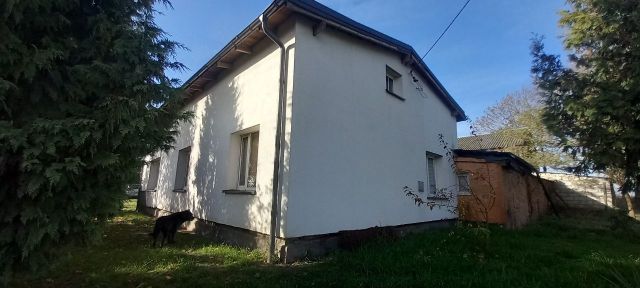 gospodarstwo Witoldowo. Zdjęcie 1