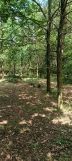 Działka Rudno. Zdjęcie 2
