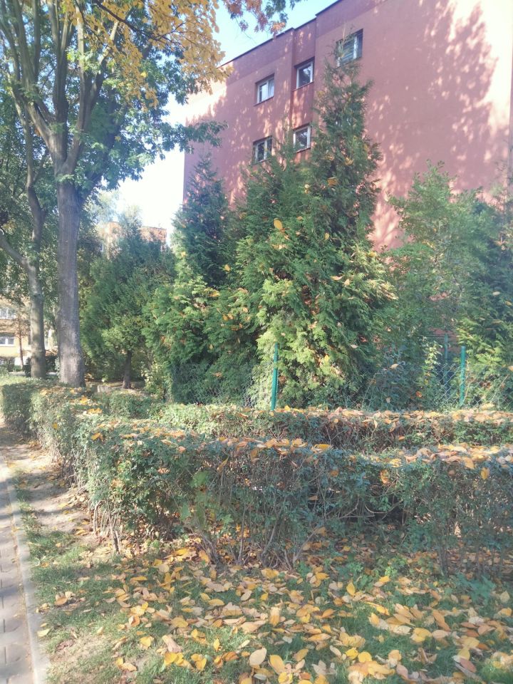 Mieszkanie 3-pokojowe Tychy Centrum, ul. Moniuszki. Zdjęcie 6