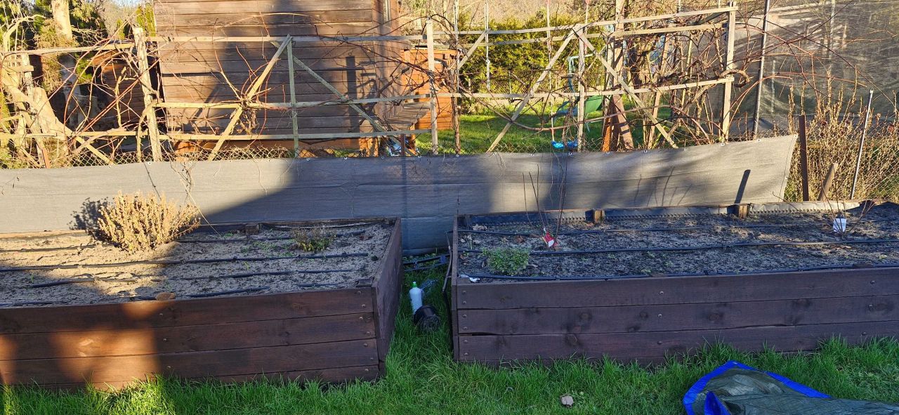 Działka rod Szczecin Centrum, ul. Polarna. Zdjęcie 3