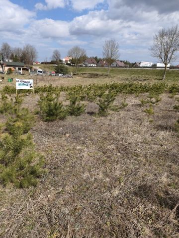 Działka rolno-budowlana Glincz, ul. Sosnowa. Zdjęcie 2