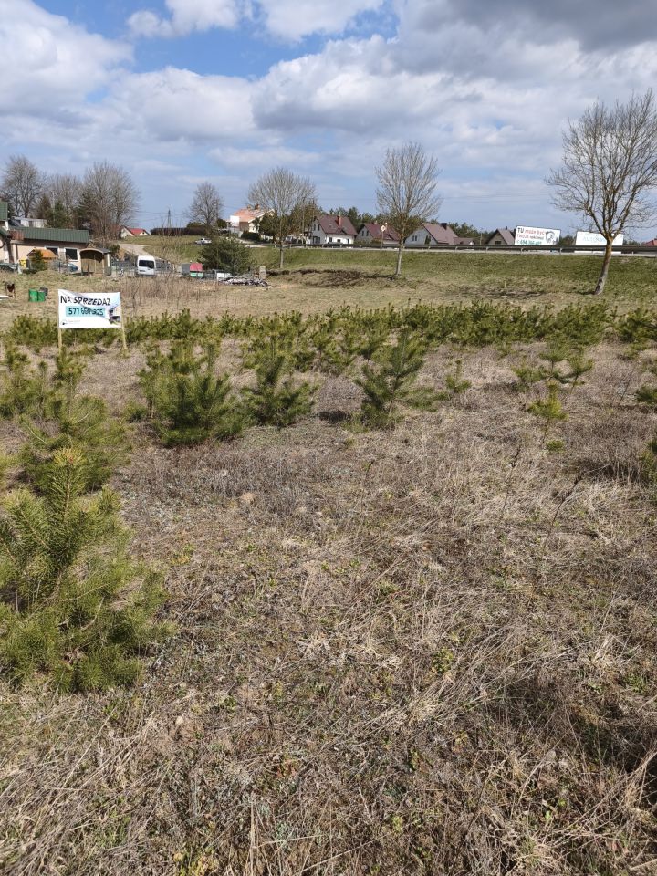 Działka rolno-budowlana Glincz, ul. Sosnowa. Zdjęcie 2