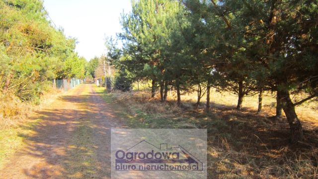 Działka Sekłak. Zdjęcie 15