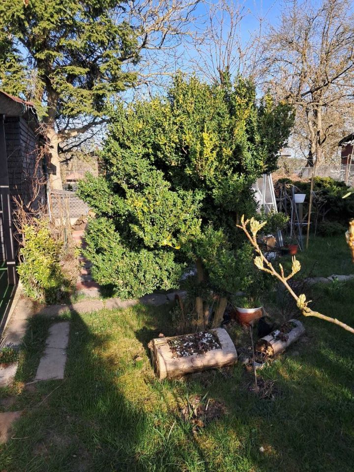 Działka rod Gorzów Wielkopolski. Zdjęcie 2