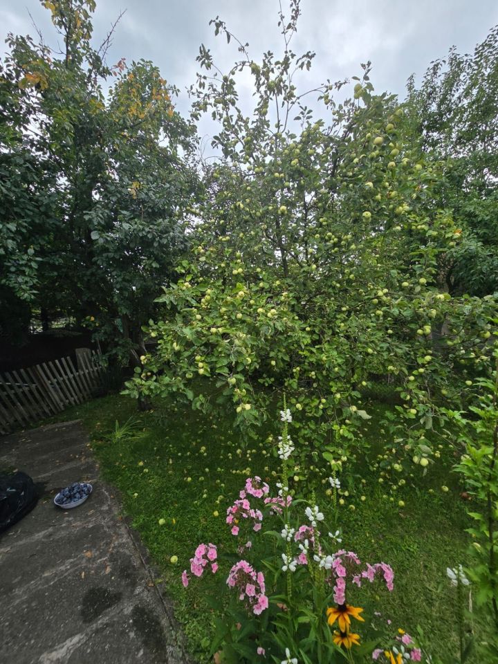 Działka rod Gliwice Kopernik. Zdjęcie 2