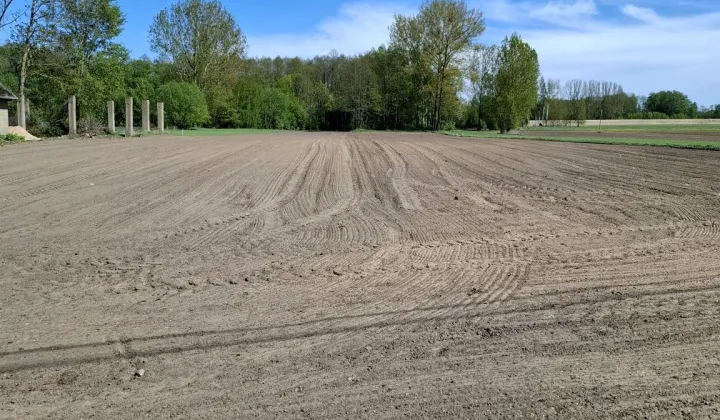 Działka siedliskowa Chodorówka Nowa