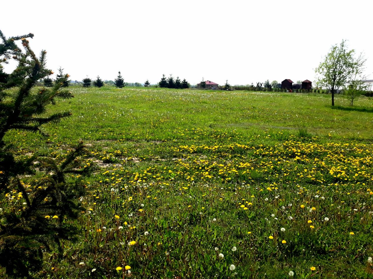 Działka rolno-budowlana Gruta. Zdjęcie 7