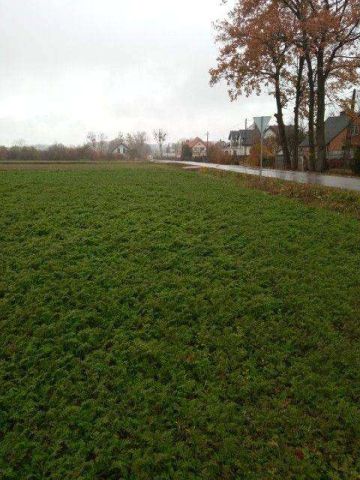 Działka rolno-budowlana Obrębiec. Zdjęcie 1