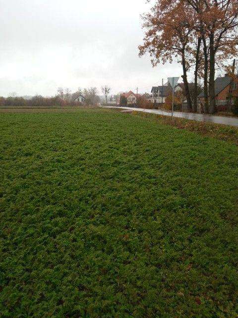 Działka rolno-budowlana Obrębiec