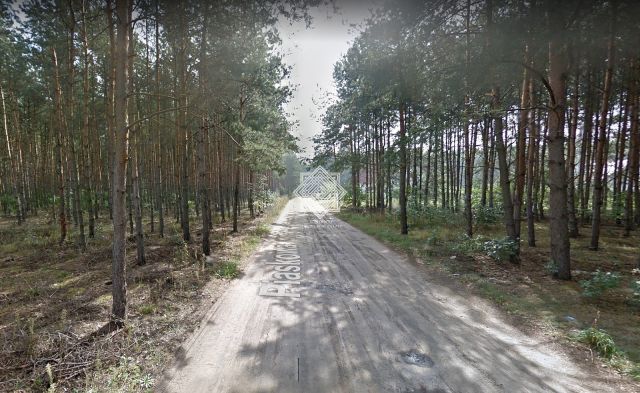 Działka leśna Kuczek. Zdjęcie 5