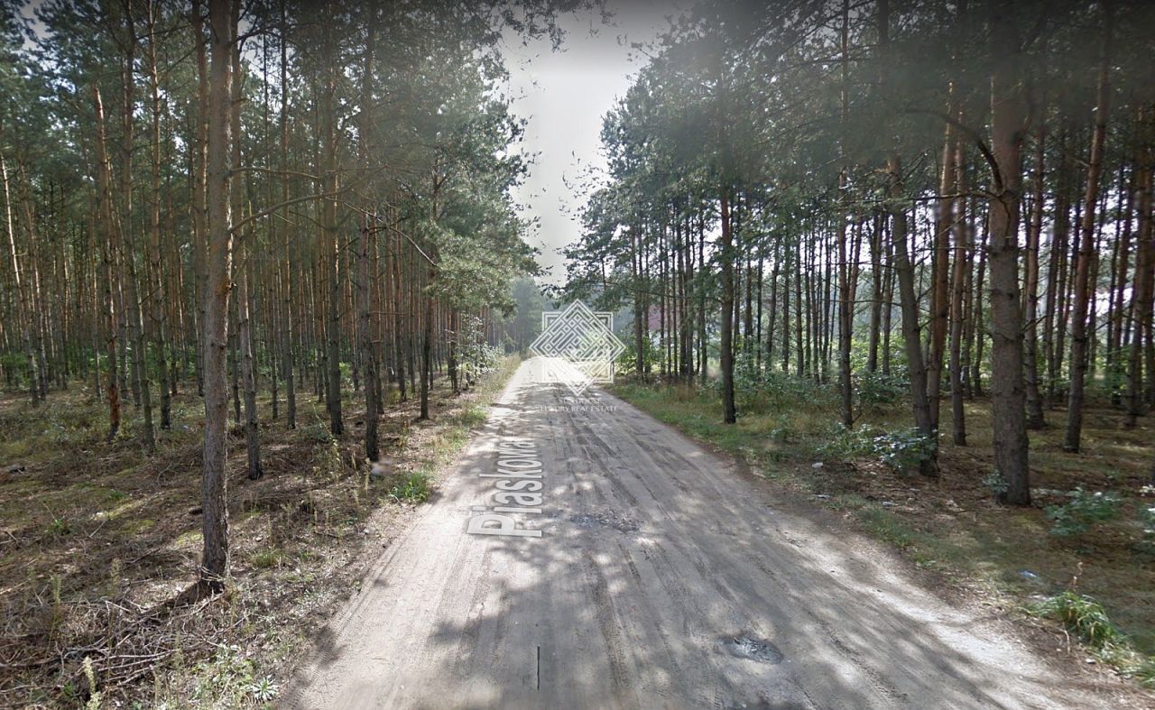 Działka leśna Kuczek. Zdjęcie 5