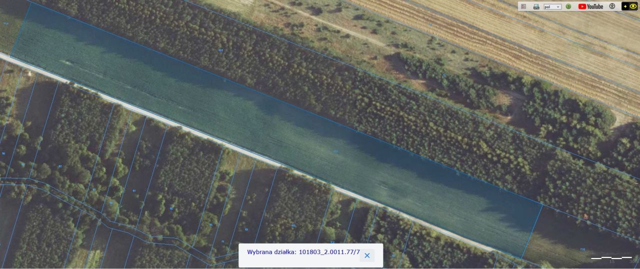 Działka rolno-budowlana Osiek Zamoście. Zdjęcie 2