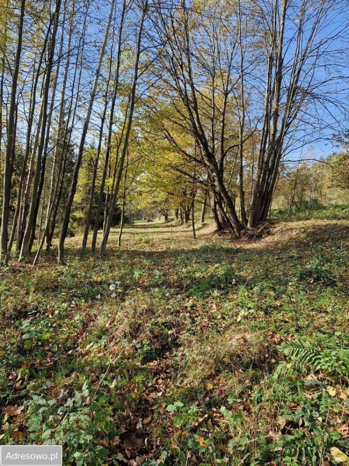 Działka Stróża. Zdjęcie 3
