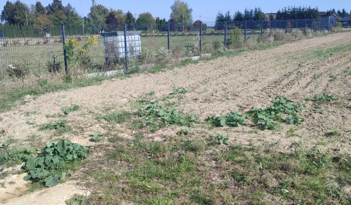 Działka budowlana Żabia Wola